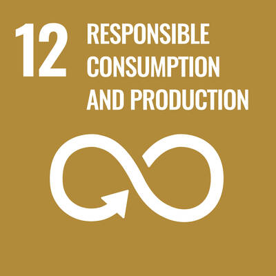 Action 12: Responsible consumption and production