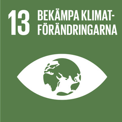 Målen 13:Bekämpa klimatförändringarna
