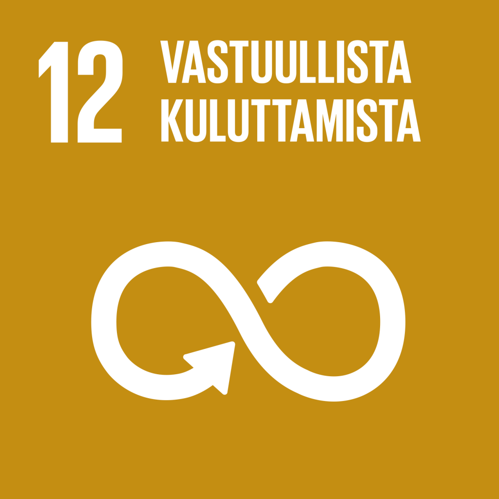 Tavoite 12: vastuullista kuluttamista